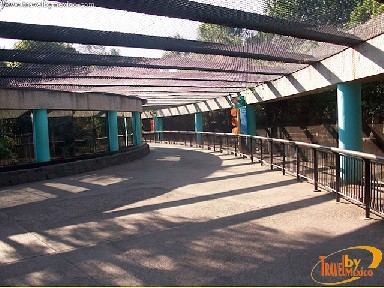 Zoológico de Chapultepec, Ciudad de México