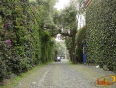 Calle típica de San Ángel