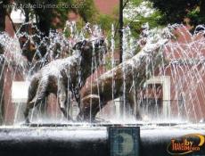 JardÃ­n del Centenario