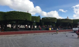 Lateral view of the garden