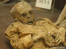 El museo alberga 23 cuerpos momificados