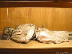 Los cuerpos momificados están expuestos en vitrinas