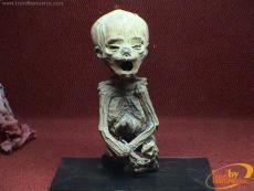 A mummified baby