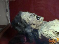 The bodies were exhumed between 1865 and 1989