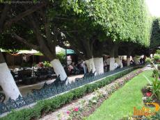 El Jardín es una plaza arbolada de forma triangular