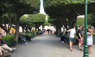 Corridors in the garden