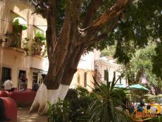 Various cultural events take place here