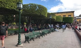 Chairs in the garden