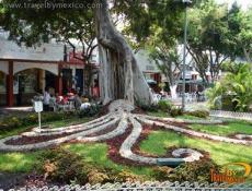 Restaurantes y Comida TÃ­pica.
