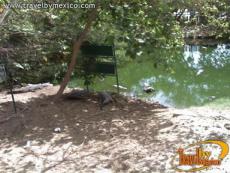 Cocodrilario en Ixtapa