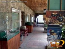 Museo Arqueologico de la costa 
