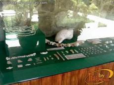 Museo Arqueologico de la costa 
