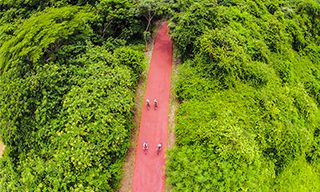 Ixtapa - Zihuatanejo