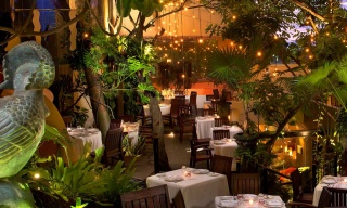 Café des Artistes, Puerto Vallarta