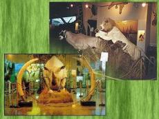 Museo de Caza Benito AlbarrÃ¡n, Guadalajara