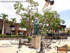 Frente a la catedral