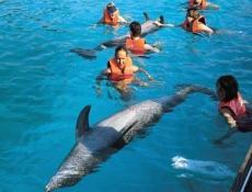 This activity is done in large pools