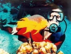 Buceo dentro de la Bahía