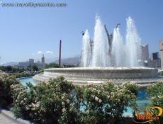 Macroplaza and Beacon Trade Backgroung