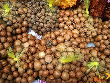 La Charanda y la Nuez de Macadamia, Uruapan
