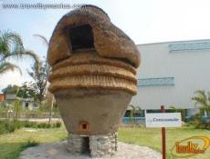 Pista de corredores, triciclopista, espejo de agua y el museo de las ciencias