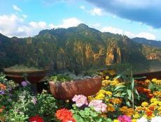 Ciudad de Tepoztlán, Tepoztlán