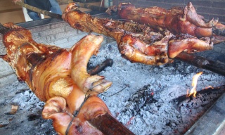 Casa Azul Oaxaca, Oaxaca