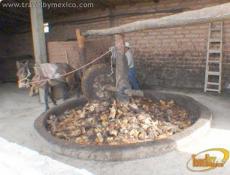 Las piñas están molidas en un gran aro de piedra 