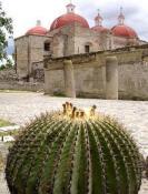 Located within the archaeological site of Mitla