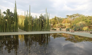 Oaxaca Ethnobotanical Garden, Oaxaca