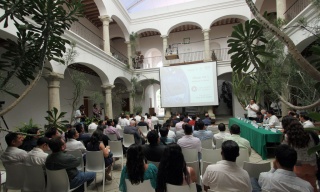 Exhibitions and art presentations