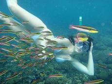 Explore y descubre la fauna marina