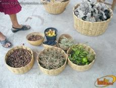 Colorantes Naturales, TeotitlÃ¡n del Valle