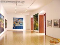 Oleos y Viniles Museo de los Pintores Oaxaqueños