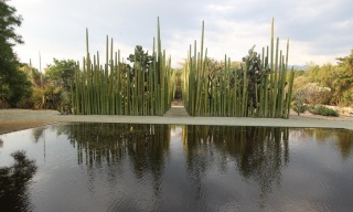 Archaeological pond 16th century