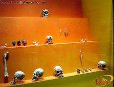 Exposiciones Permanentes Museo de Monte AlbÃ¡n
