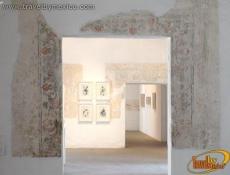 Pinturas Murales Museo de Arte Contemporaneo Oaxaca
