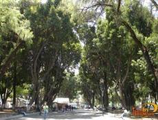 Paseo Bravo, Puebla