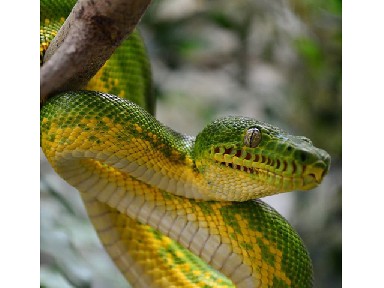 Learn and marvel in Nature Museum