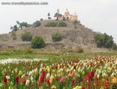 Hermosos paisajes de Cholula.
