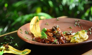 Aldea Corazón, Playa del Carmen