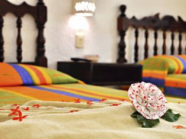 Maya Bric, Maya Bric