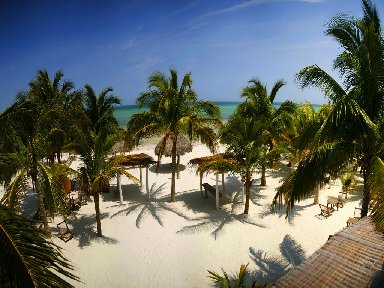 Casa Las Tortugas, Casa Las Tortugas