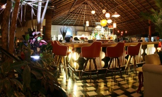 Diablito Cha Cha Cha, Playa del Carmen