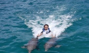 Dolphin Swim Adventure | Amenidades