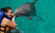 Dolphin Swim Adventure | Info