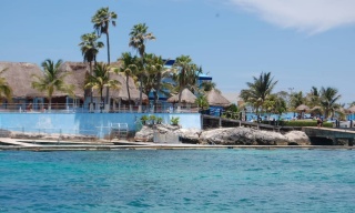 Dolphin Swim Adventure, Dolphin Swim Adventure