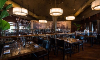 Fred's House, Cancún