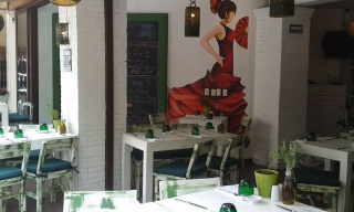 Mar de Olivos, Playa del Carmen