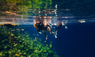 Tour Xenotes Oasis Maya, Cancún